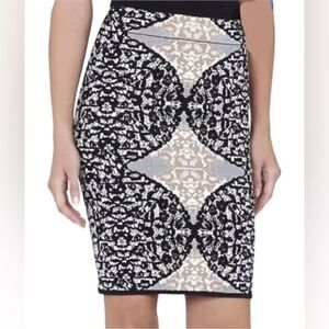 BCBGMAXAZRIA NWT Mollee Skirt (S)